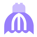 Wedding photography Icon