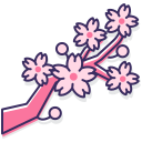 cherry-blossom Icon