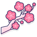 plum-blossom Icon