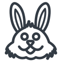 rabbit Icon