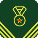 Army Medal Icon