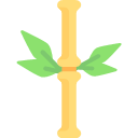 Bamboo Icon