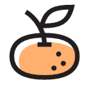 tangerine Icon