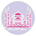 Turkey_ Pink Icon