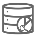 Database audit Icon
