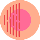 circlehalf Icon