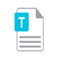 txt-iocn Icon