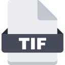 TIF Icon