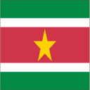 Suriname Icon