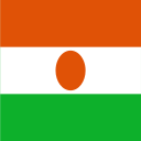 NE Niger Icon