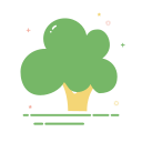 broccoli Icon