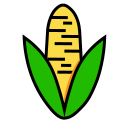 Maize -01 Icon