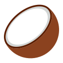 Flour coconut Icon