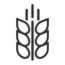 Crop sorghum Icon