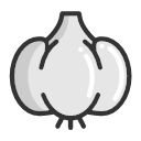 Garlic - garric Icon