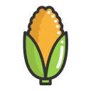 Maize -Corn Icon