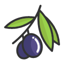 Olives Icon