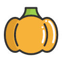 Pumpkin -Pumpkin Icon