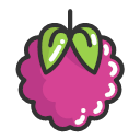 Raspberry Raspberry Icon