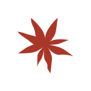 Star anise Icon
