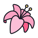 Flower shop Lily Icon