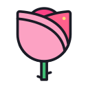 Flower shop tulip-02 Icon