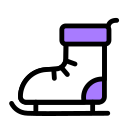 The skating shoes Icon