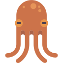 Cuttlefish Icon