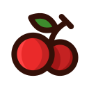 Gourmet Cranberry Icon