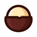 Gourmet Macadamia fruit Icon