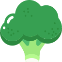 Broccoli Icon