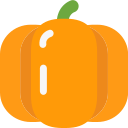 Pumpkin Icon