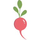 Water radish Icon