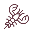 Roast lobster Icon