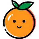 02 oranges Icon