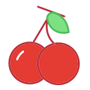 Fresh cherry Icon