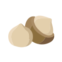 Macadamia nut Icon