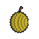 Durian Icon