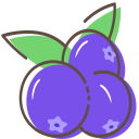 blueberry Icon