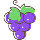 grape Icon