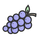 Grape Icon