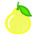 Big grapefruit Icon
