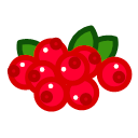 Cranberry Icon