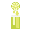 Lime Icon