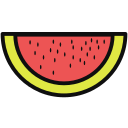 watermelon Icon