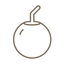Coconut -line Icon
