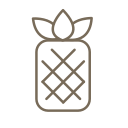 Pineapple -line Icon