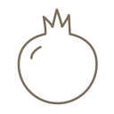 Pomegranate -line Icon