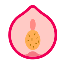 Honey peach Icon