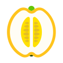 Honeydew melon Icon